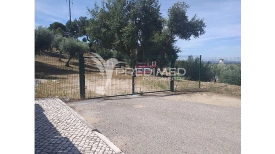 Terreno para Venda em Ribeira de Nisa e Carreiras Foto 2