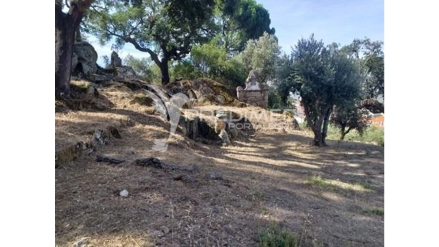 Terreno para Venda em Ribeira de Nisa e Carreiras Foto 11