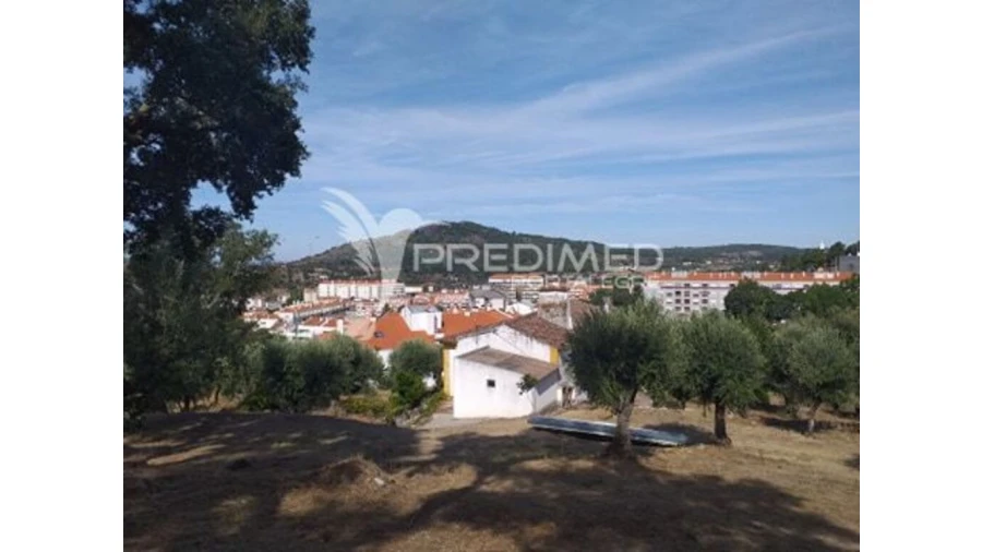 Terreno para Venda em Ribeira de Nisa e Carreiras Foto 3