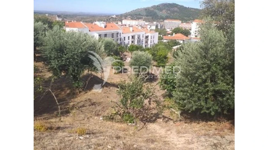 Terreno para Venda em Ribeira de Nisa e Carreiras Foto 6