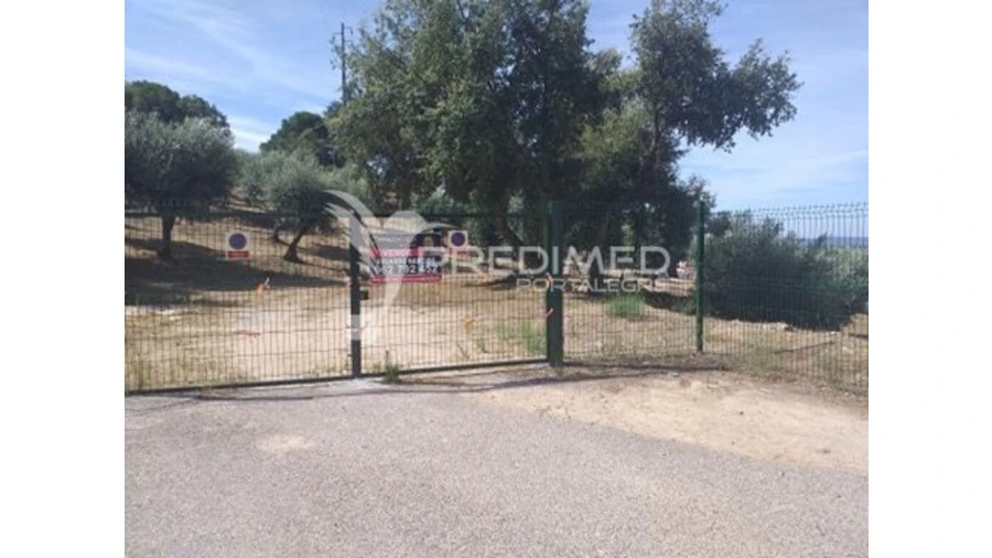 Terreno para Venda em Ribeira de Nisa e Carreiras Foto 8