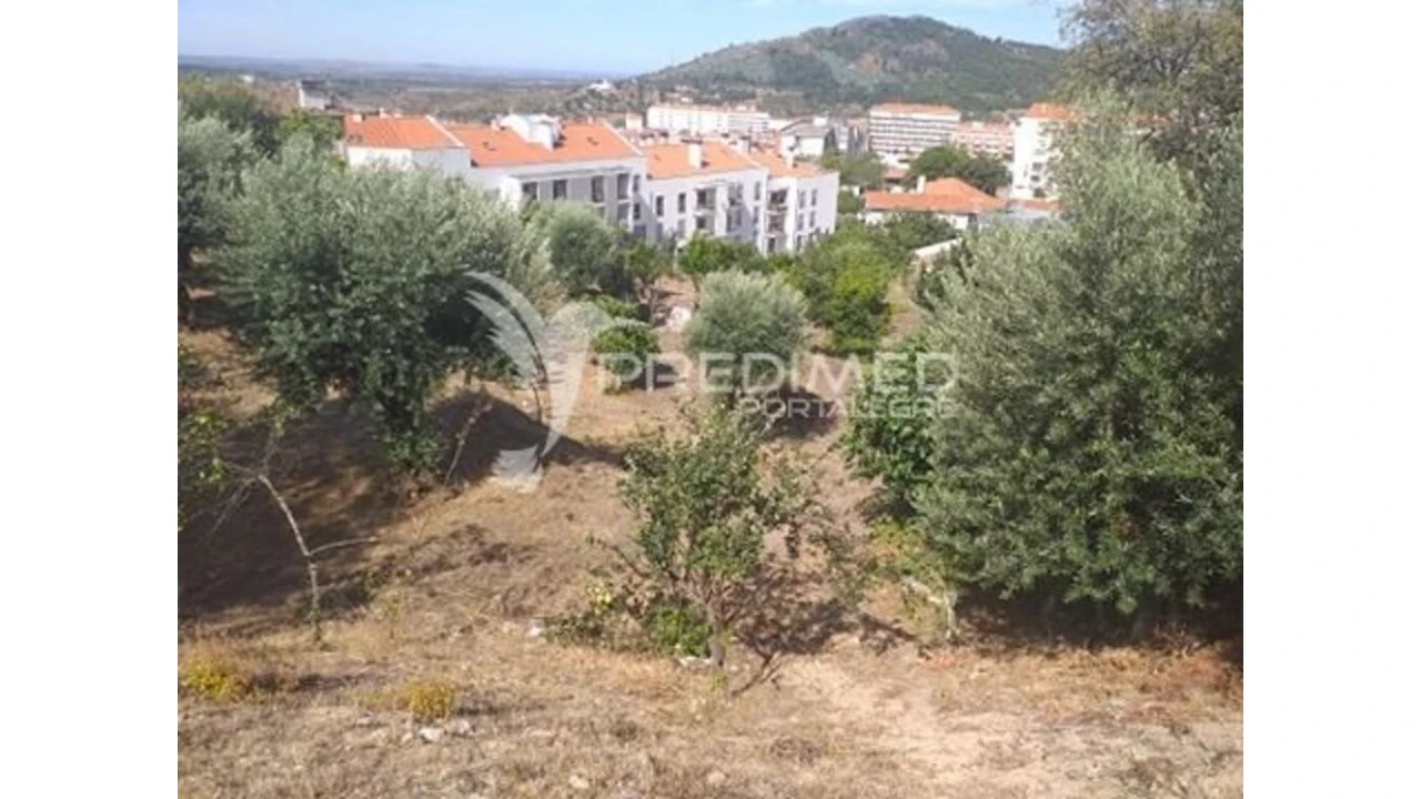 Terreno para Venda em Ribeira de Nisa e Carreiras Foto 6