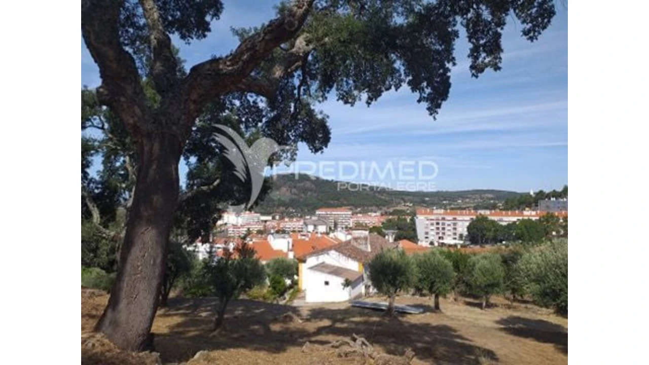 Terreno para Venda em Ribeira de Nisa e Carreiras Foto 1
