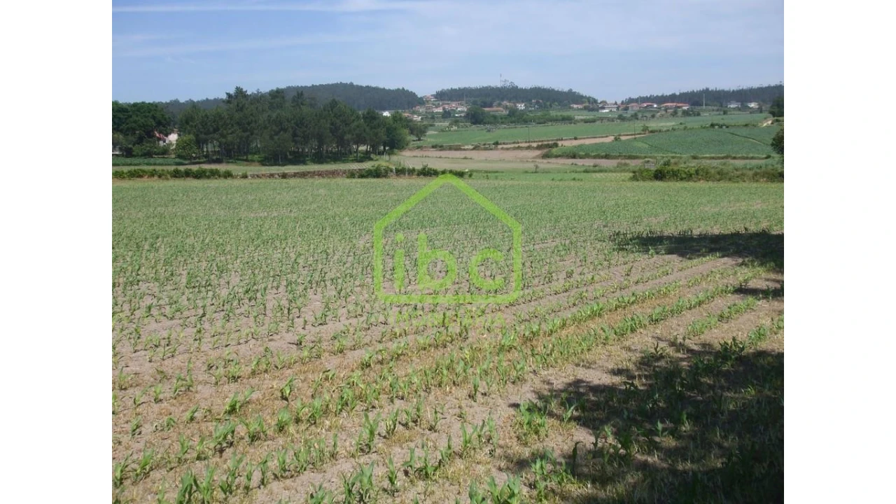 Terreno para Venda em Junqueira Foto 2