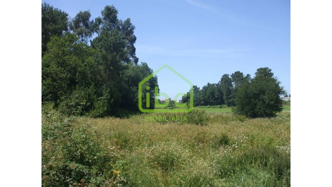 Terreno para Venda em Junqueira Foto 3