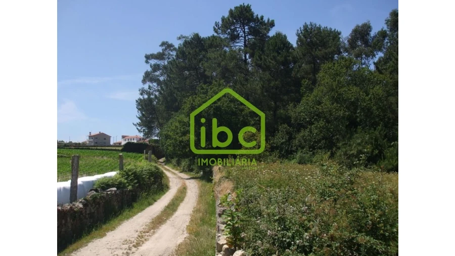 Terreno para Venda em Junqueira Foto 6