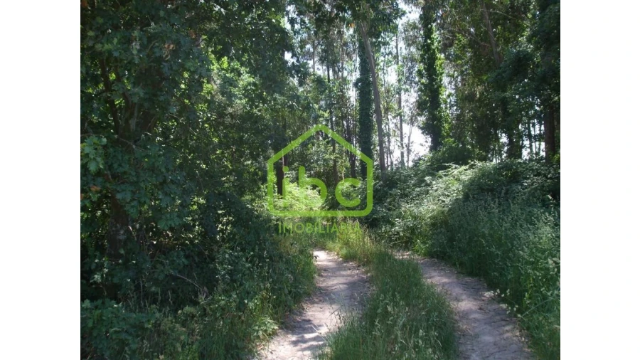 Terreno para Venda em Junqueira Foto 4