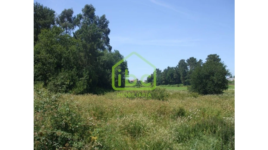 Terreno para Venda em Junqueira Foto 3