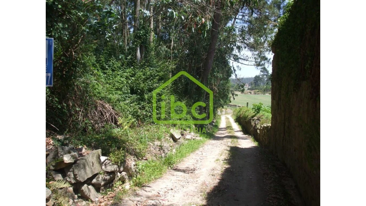 Terreno para Venda em Junqueira Foto 5