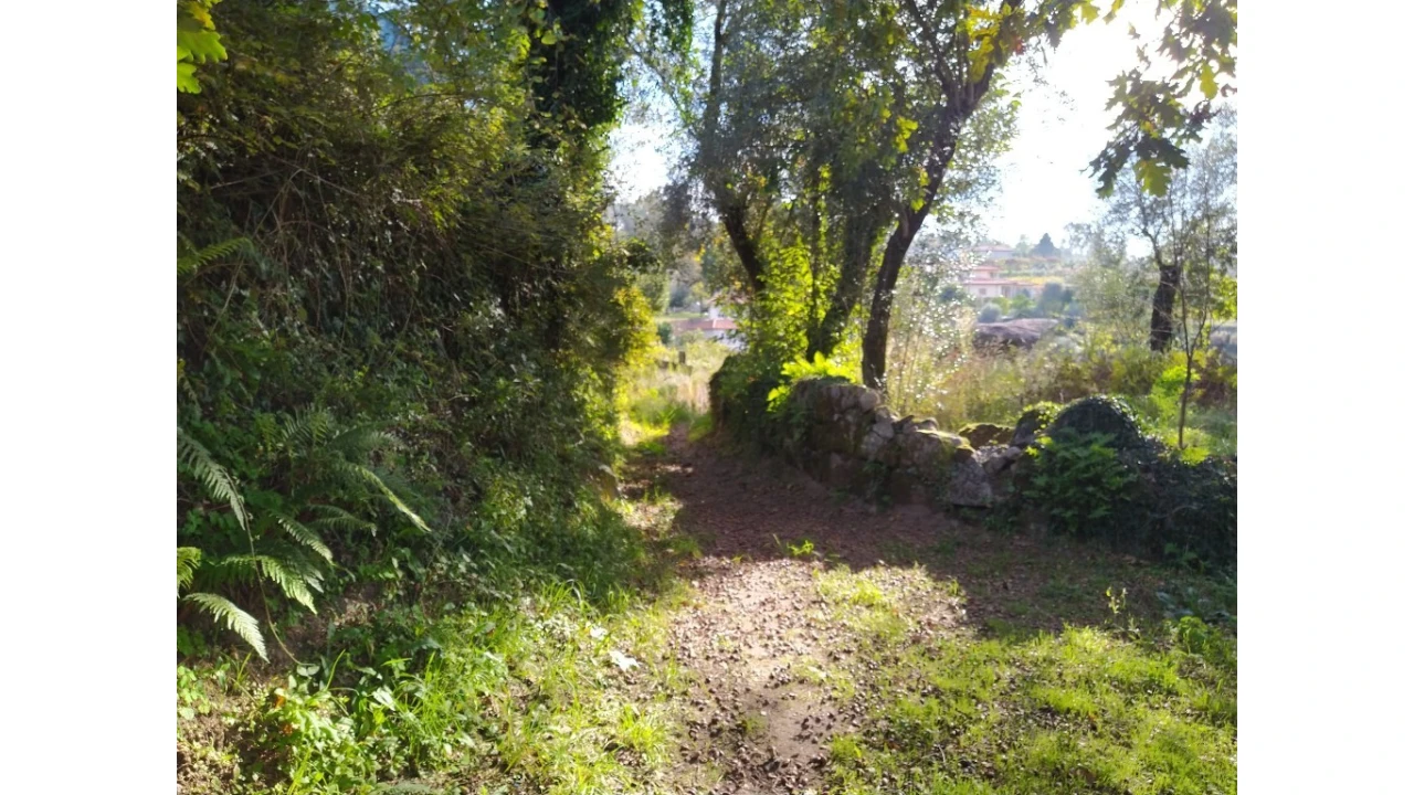 Terreno para Venda em Fiscal Foto 5