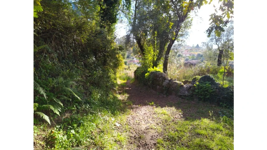 Terreno para Venda em Fiscal Foto 5