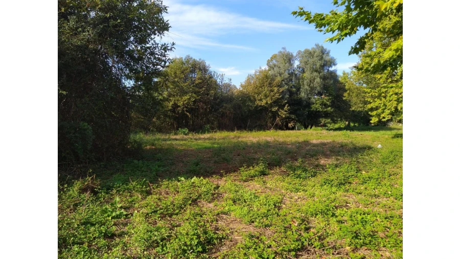 Terreno para Venda em Fiscal Foto 4