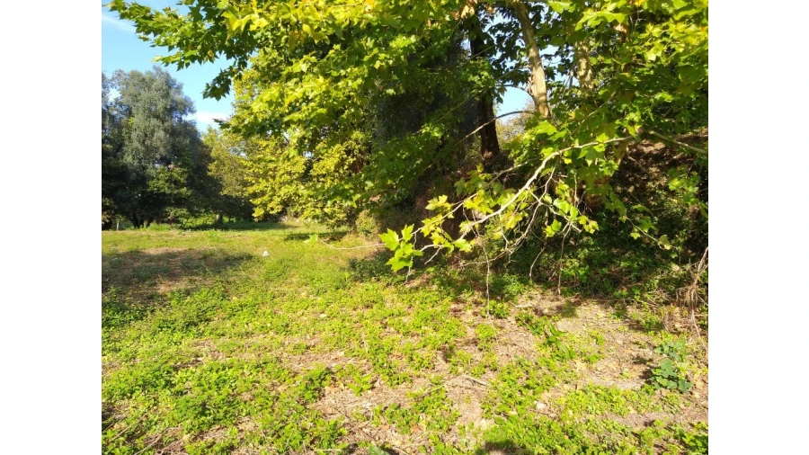 Terreno para Venda em Fiscal Foto 3