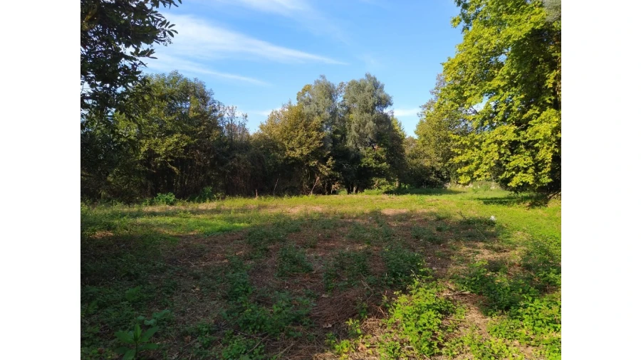 Terreno para Venda em Fiscal Foto 1