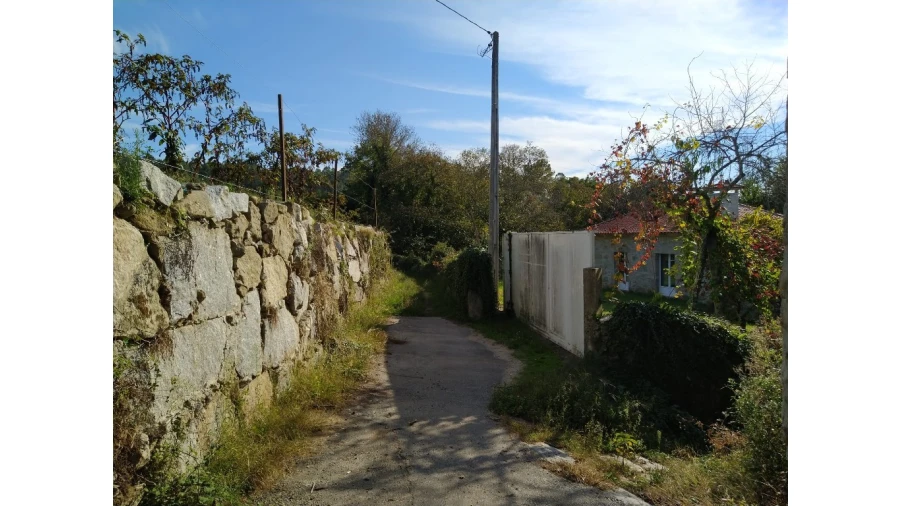 Terreno para Venda em Fiscal Foto 7