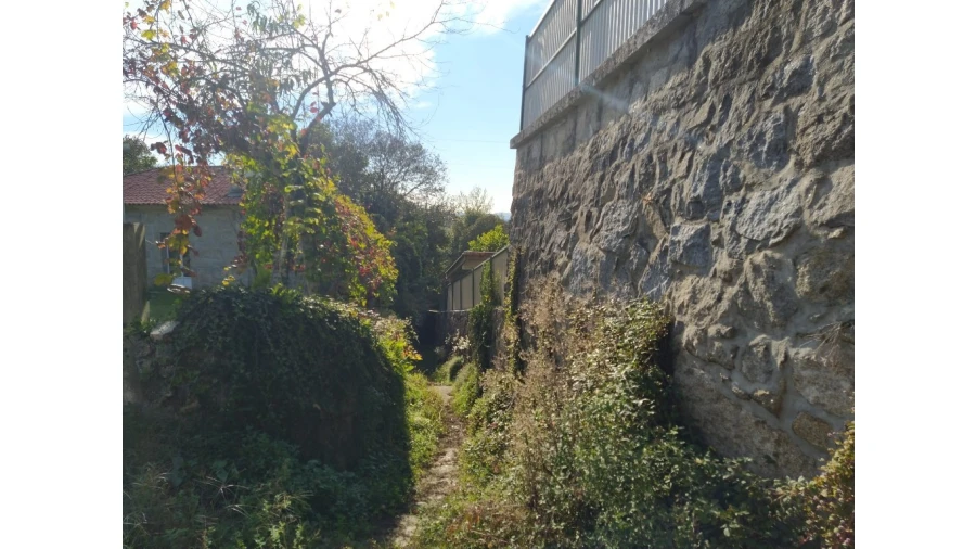 Terreno para Venda em Fiscal Foto 2