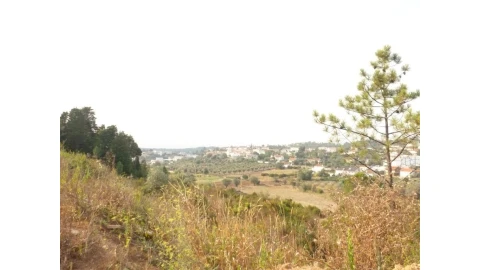 Terreno para Venda em Assafarge e Antanhol