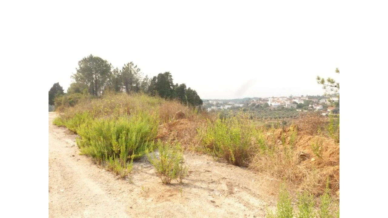 Terreno para Venda em Assafarge e Antanhol Foto 2