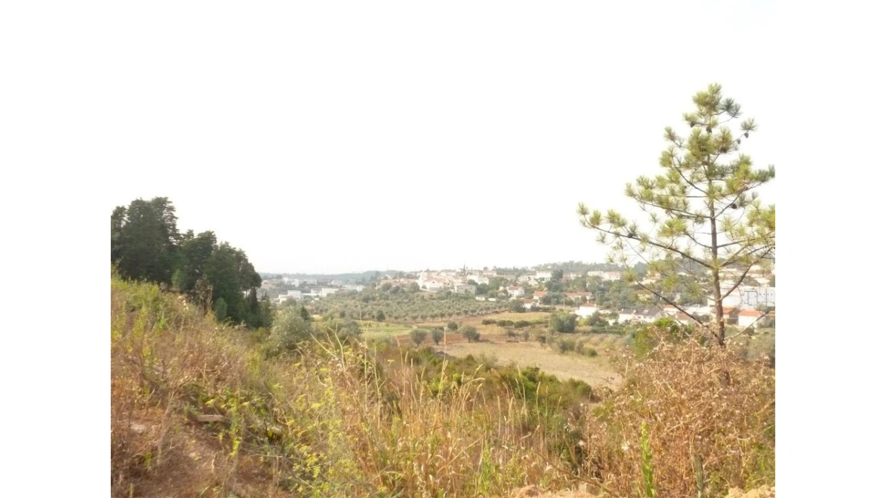 Terreno para Venda em Assafarge e Antanhol Foto 1