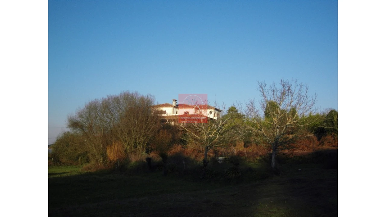 Moradia T8 para Venda em Forjães Foto 49