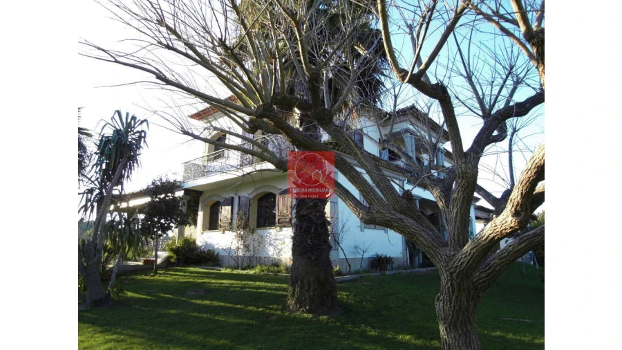 Moradia T8 para Venda em Forjães Foto 57