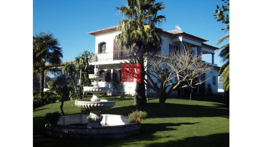 Moradia T8 para Venda em Forjães Foto 16