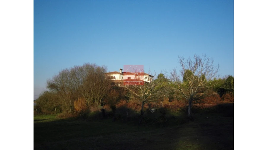 Moradia T8 para Venda em Forjães Foto 49