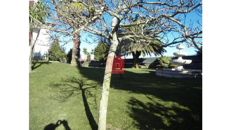 Moradia T8 para Venda em Forjães Foto 14