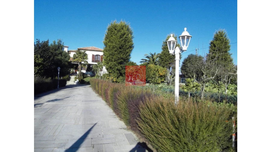 Moradia T8 para Venda em Forjães Foto 12