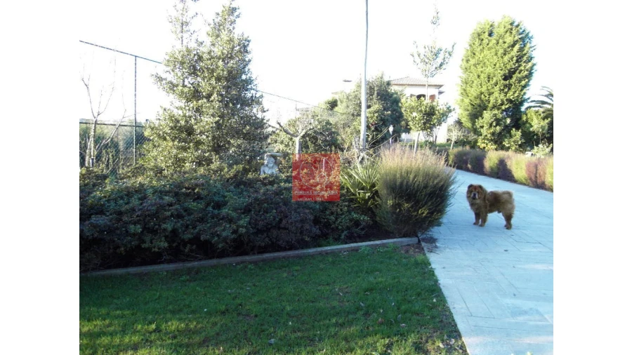 Moradia T8 para Venda em Forjães Foto 36