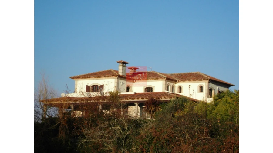 Moradia T8 para Venda em Forjães Foto 50