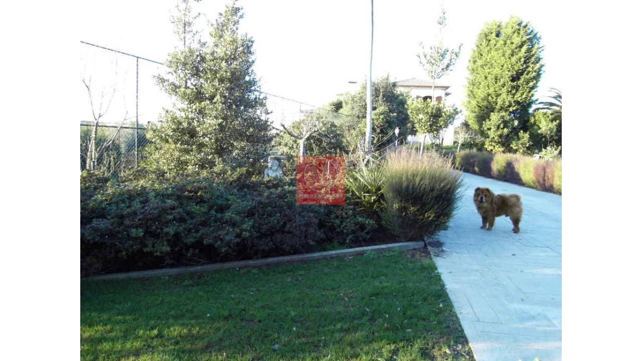 Moradia T8 para Venda em Forjães Foto 36