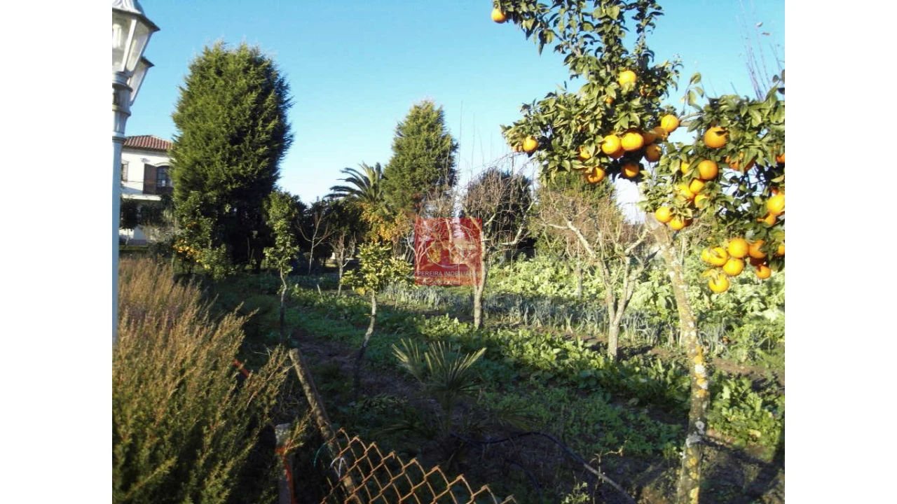 Moradia T8 para Venda em Forjães Foto 37