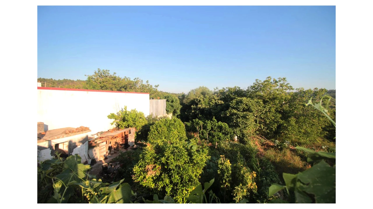 Moradia T3 para Venda em Vila Seca e Bem da Fé Foto 1