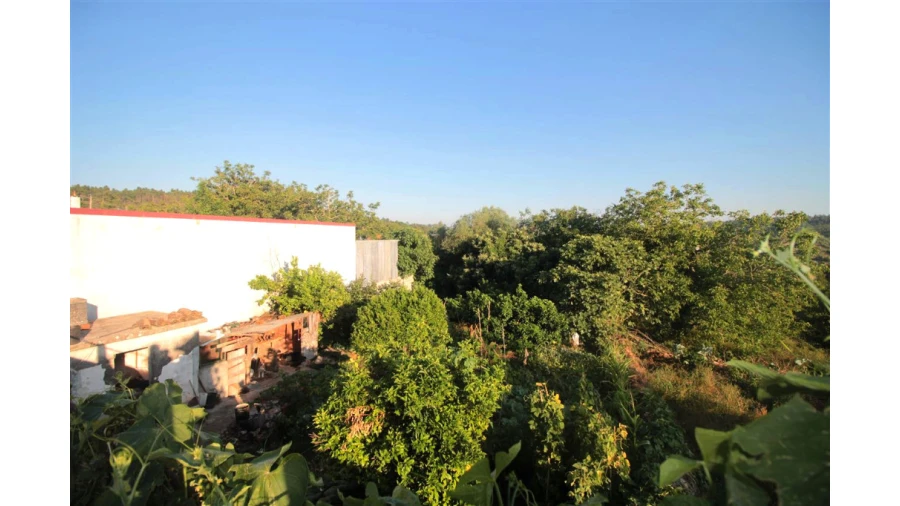 Moradia T3 para Venda em Vila Seca e Bem da Fé Foto 1