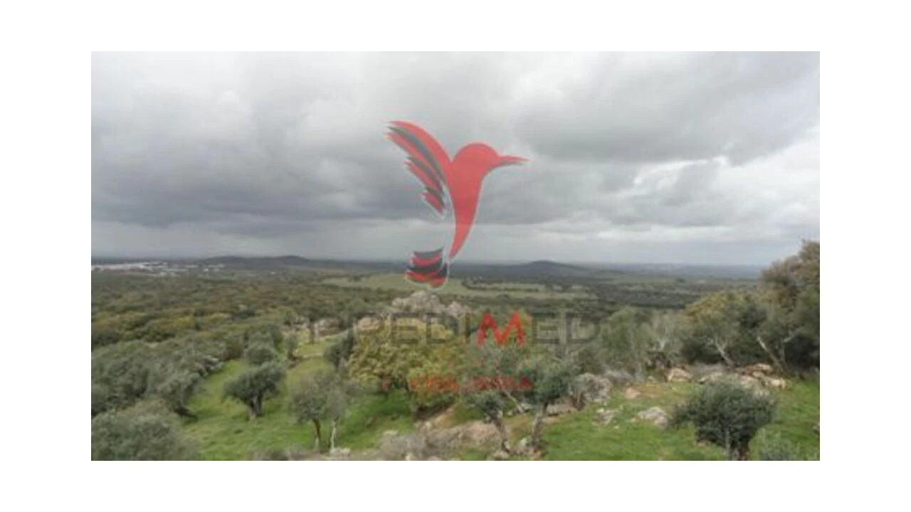 Moradia T2 para Venda em Alter do Chão Foto 9