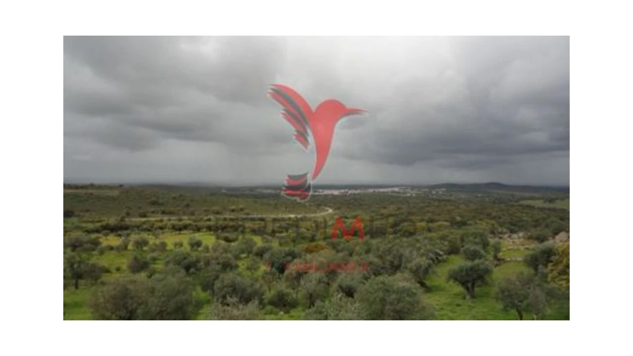 Moradia T2 para Venda em Alter do Chão Foto 10