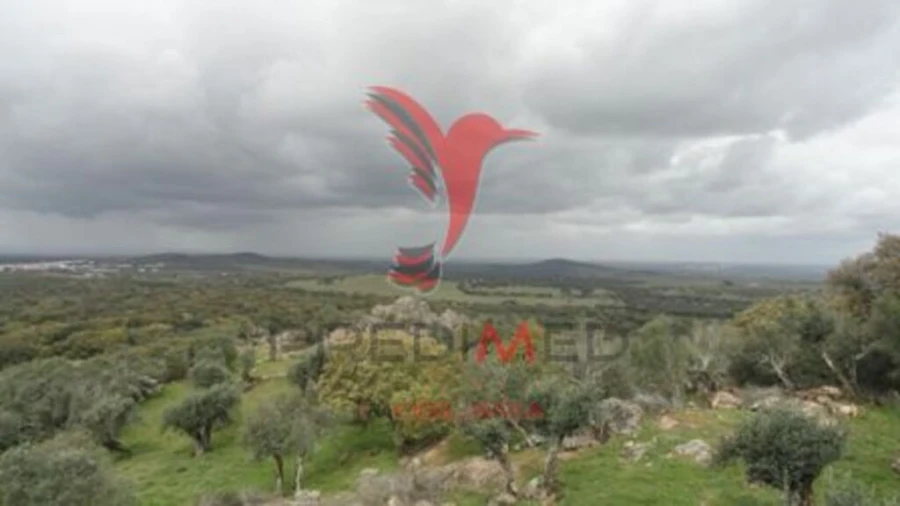 Moradia T2 para Venda em Alter do Chão Foto 9