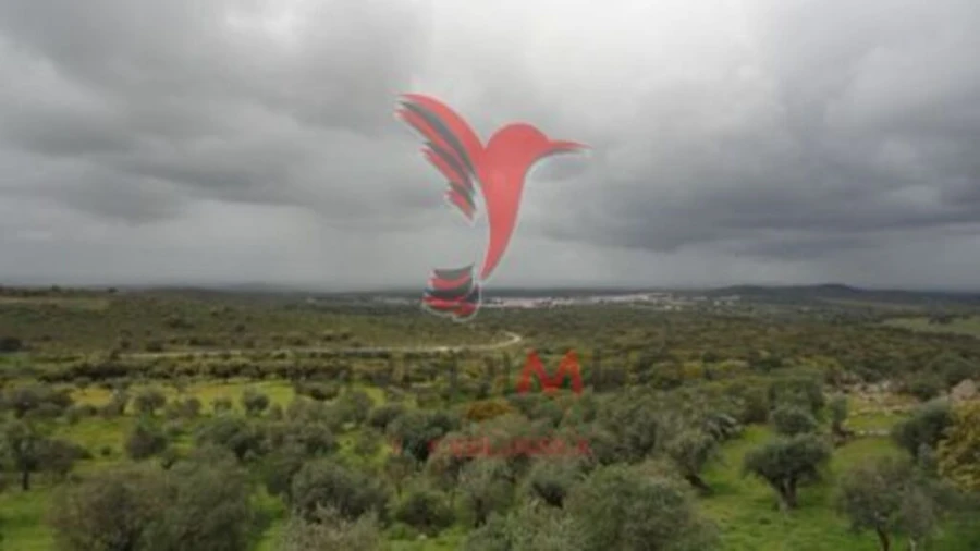 Moradia T2 para Venda em Alter do Chão Foto 10