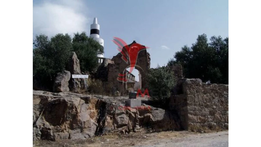 Moradia T2 para Venda em Alter do Chão Foto 8