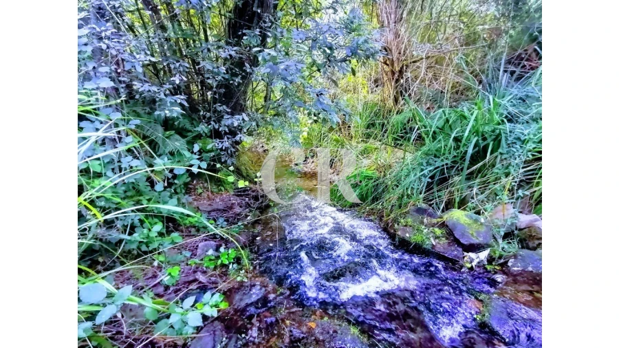 Quinta T2 para Venda em Figueiró dos Vinhos e Bairradas Foto 11
