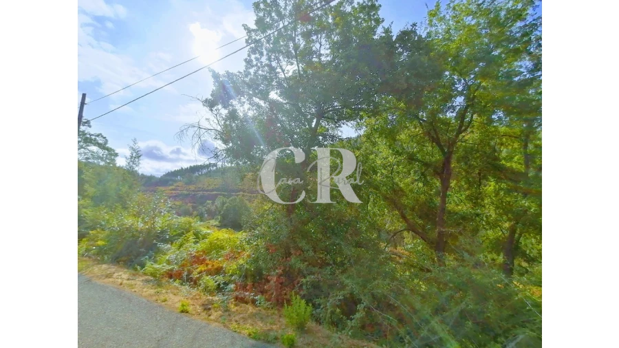 Quinta T2 para Venda em Figueiró dos Vinhos e Bairradas Foto 13