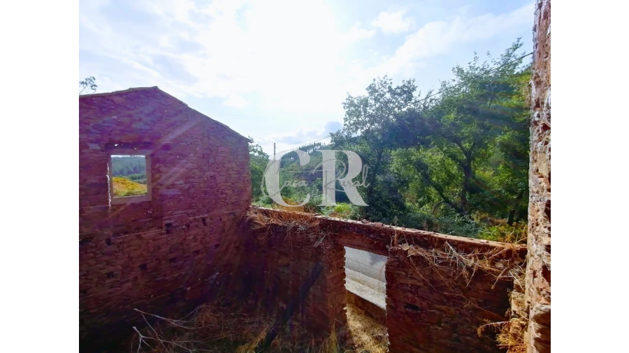 Quinta T2 para Venda em Figueiró dos Vinhos e Bairradas Foto 7