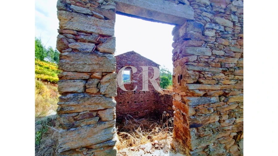 Quinta T2 para Venda em Figueiró dos Vinhos e Bairradas Foto 2