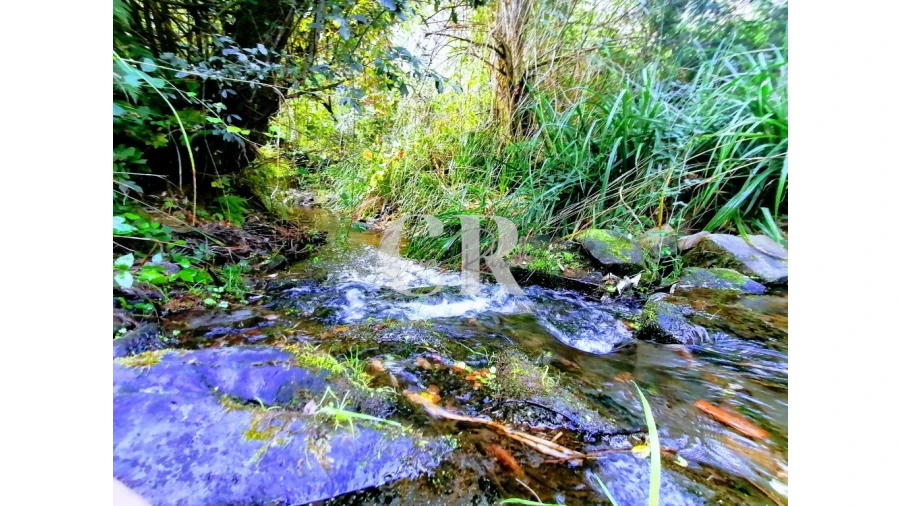 Quinta T2 para Venda em Figueiró dos Vinhos e Bairradas Foto 9