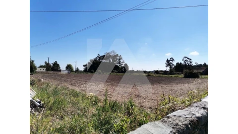 Terreno para Venda em Ovar, São João, Arada e São Vicente de Pereira Jusã