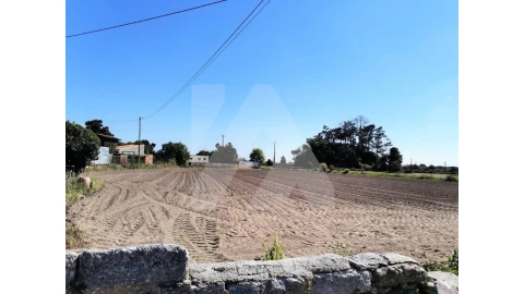 Terreno para Venda em Ovar, São João, Arada e São Vicente de Pereira Jusã