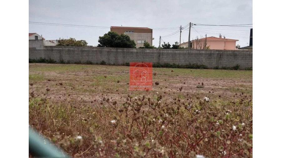 Terreno para Venda em Estela Foto 5