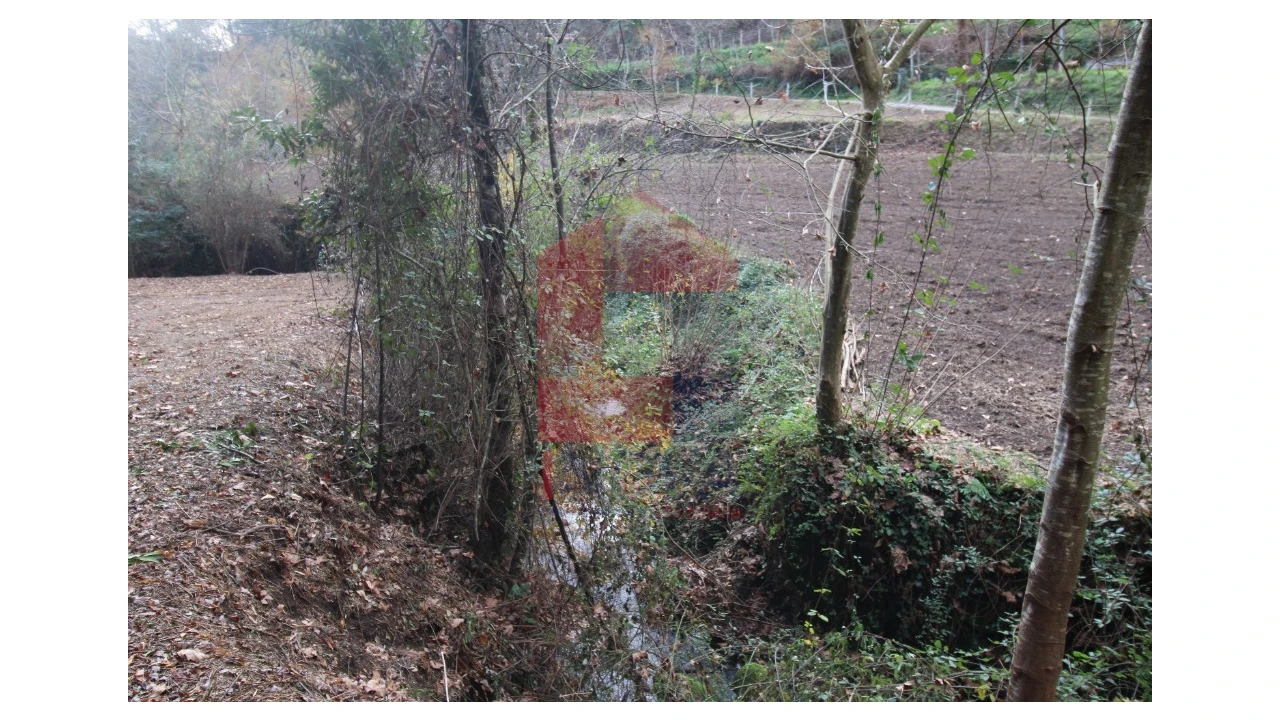 Terreno para Venda em Marrancos e Arcozelo Foto 9