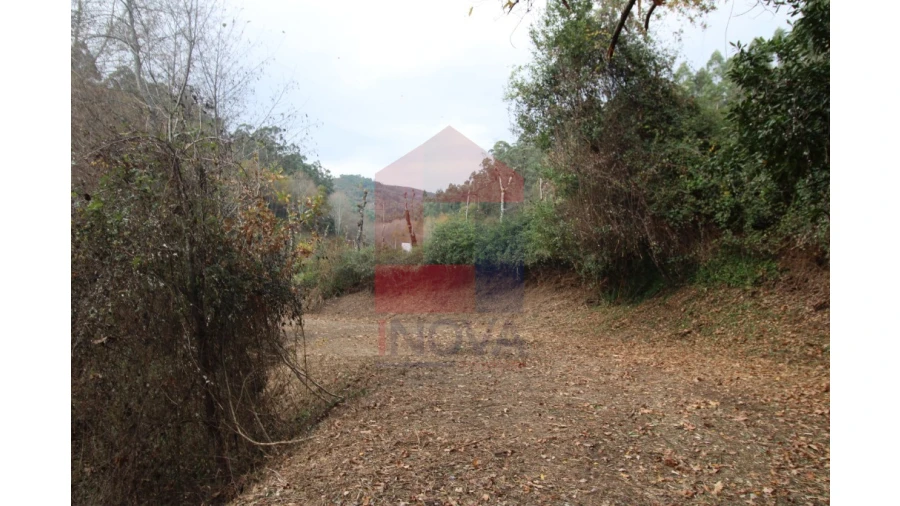 Terreno para Venda em Marrancos e Arcozelo Foto 5